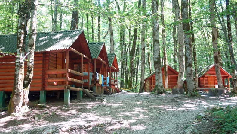 wild cabins in a forest