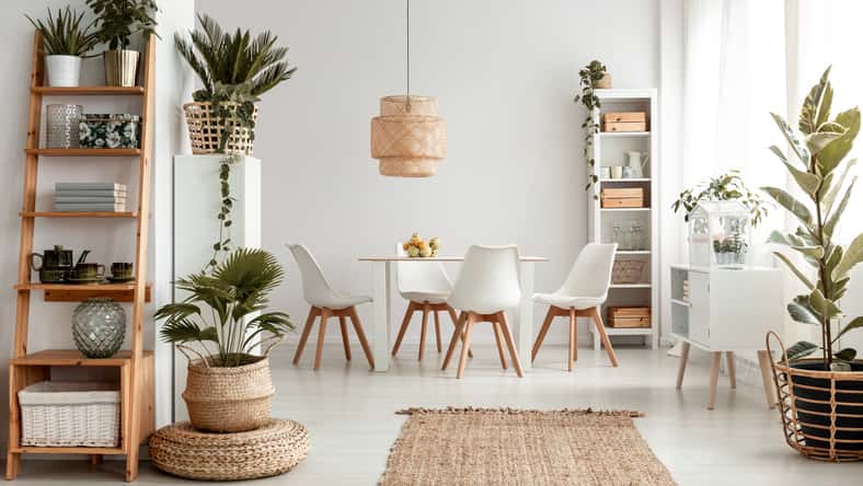 Plantas en estantes y alfombra en el interior de apartamento blanco con sillas en la mesa de comedor debajo de la lámpara. Foto real