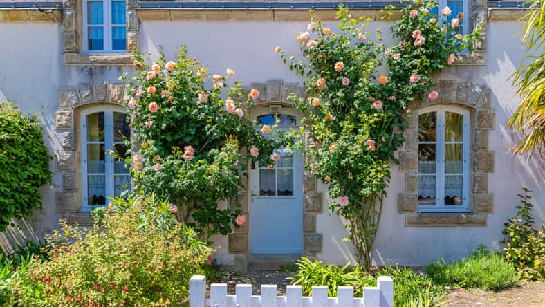 Beautiful small house in Brittany, typical home with rosebush and a wooden gate