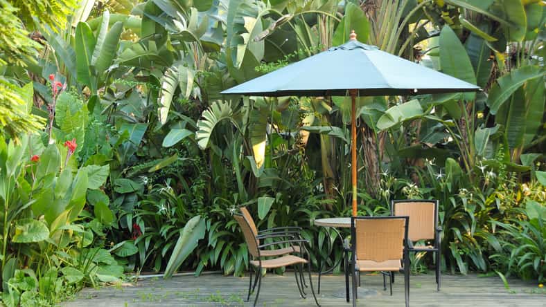 Garden furniture - rattan chairs and table under umbrella on a wooden floor by the banana trees background at garden