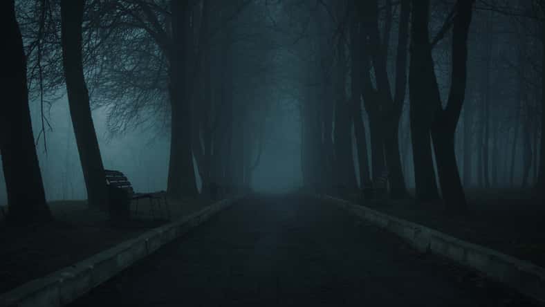Foggy autumn landscape, pedestrian road in the park. Mystical early morning