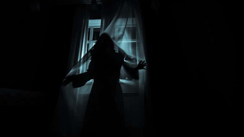 Horror woman in window