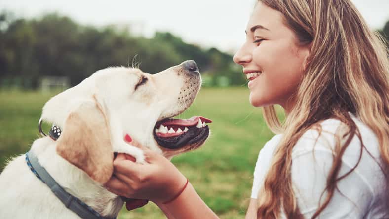 Frame with a beautiful girl with a beautiful dog in a park on green grass