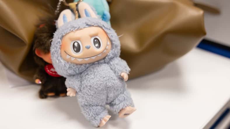View of Famous Popmart Labubu on Female Bag