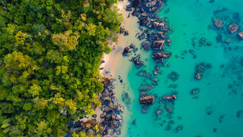 Donde la selva tropical se encuentra con el arrecife de coral en el remoto Parque Nacional Masoala en Madagascar