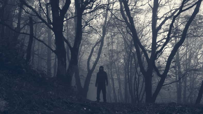 A hooded scary figure with glowing eyes. Standing in a spooky winter forest on a foggy day