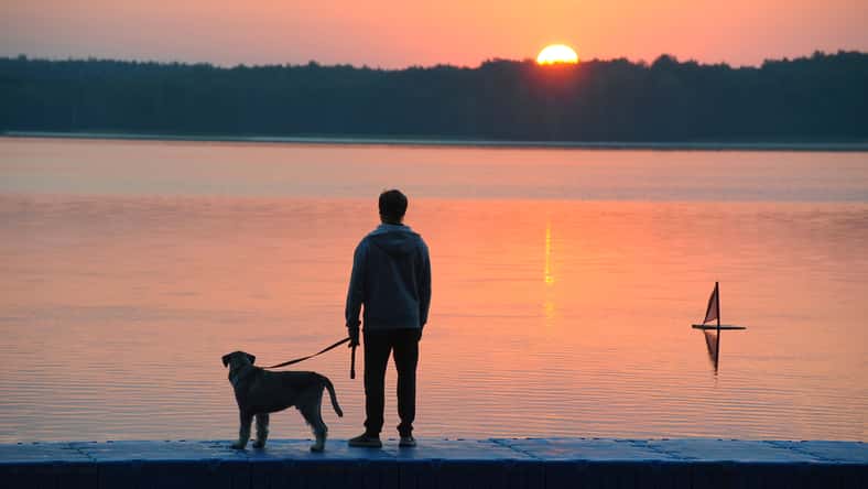 Silhouette of a middle-aged man with a dog on the shore of the lake at dawn.