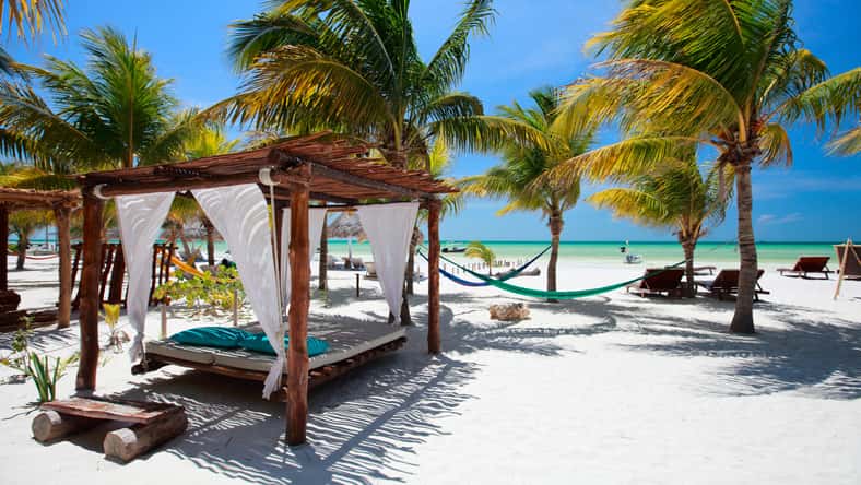 Beach beds among palm trees at perfect