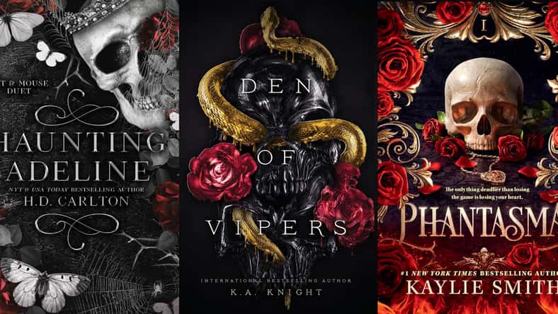 dark romance novels