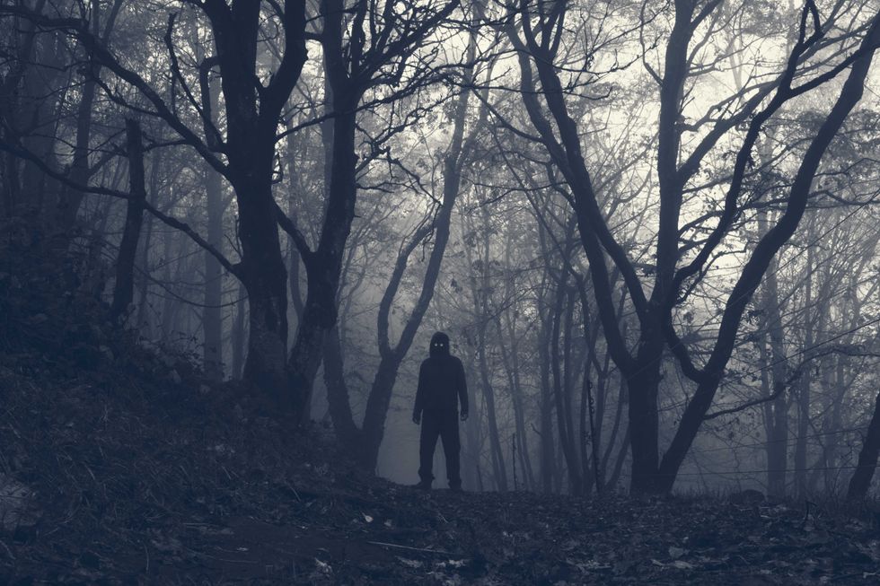 A hooded scary figure with glowing eyes. Standing in a spooky winter forest on a foggy day
