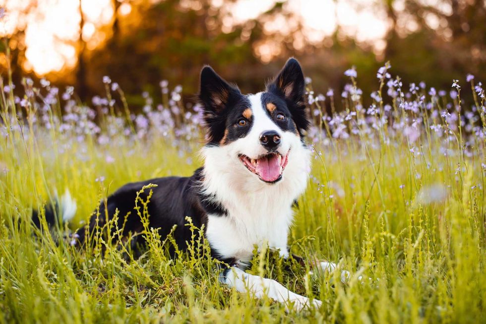 Adobe Stock 2024 07 15T164719.065