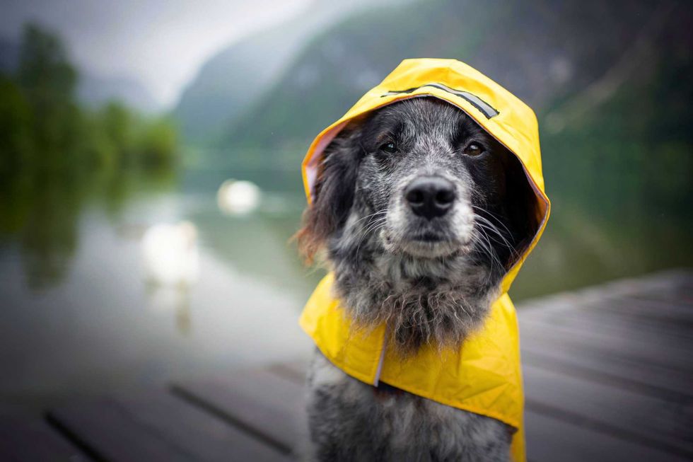 Adobe Stock 2024 10 08T125449.962