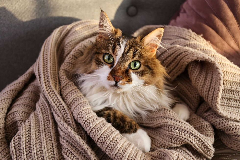 Adobe Stock 22