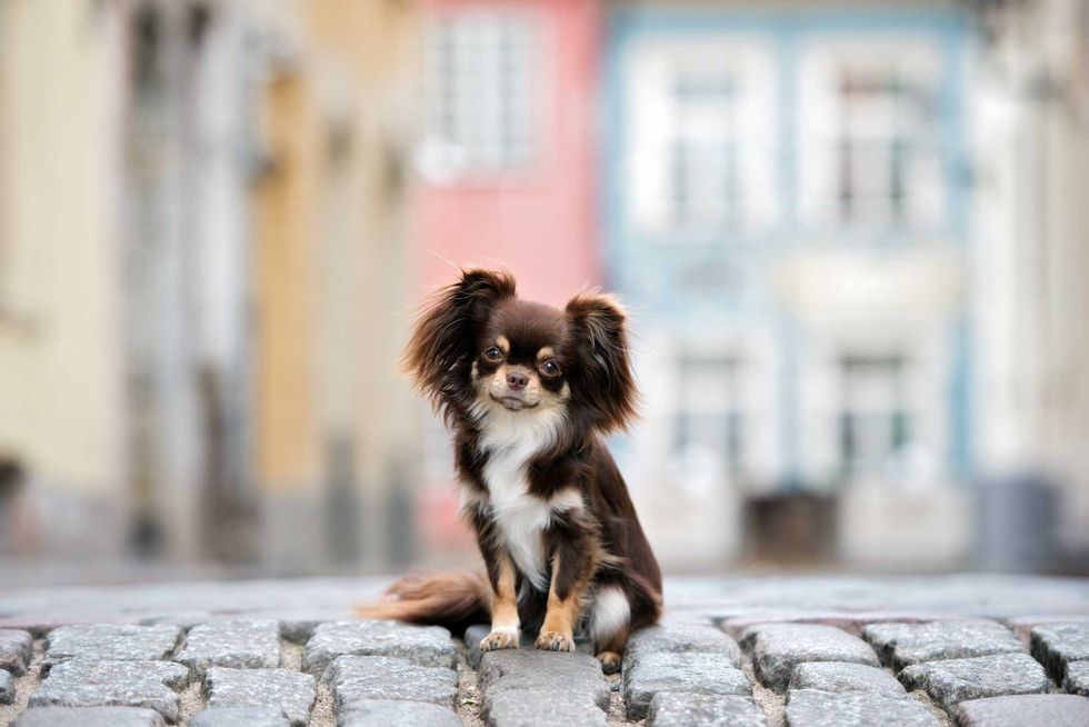 AdobeStock 163563281