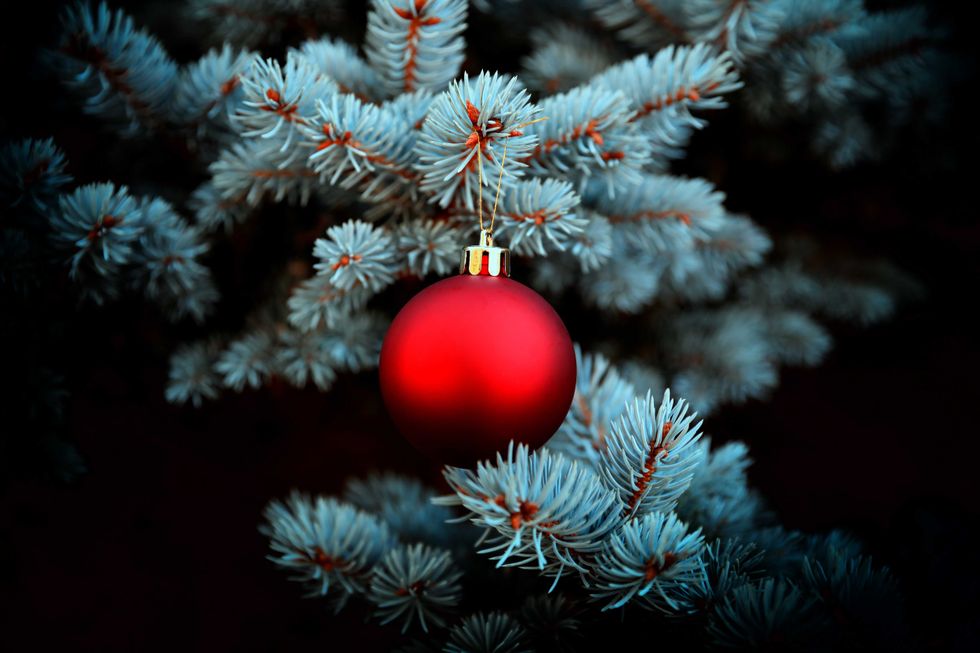 AdobeStock 305568847