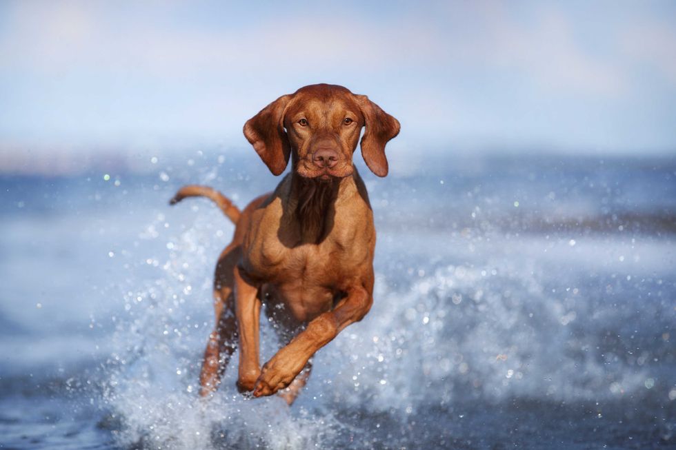 AdobeStock 469774501