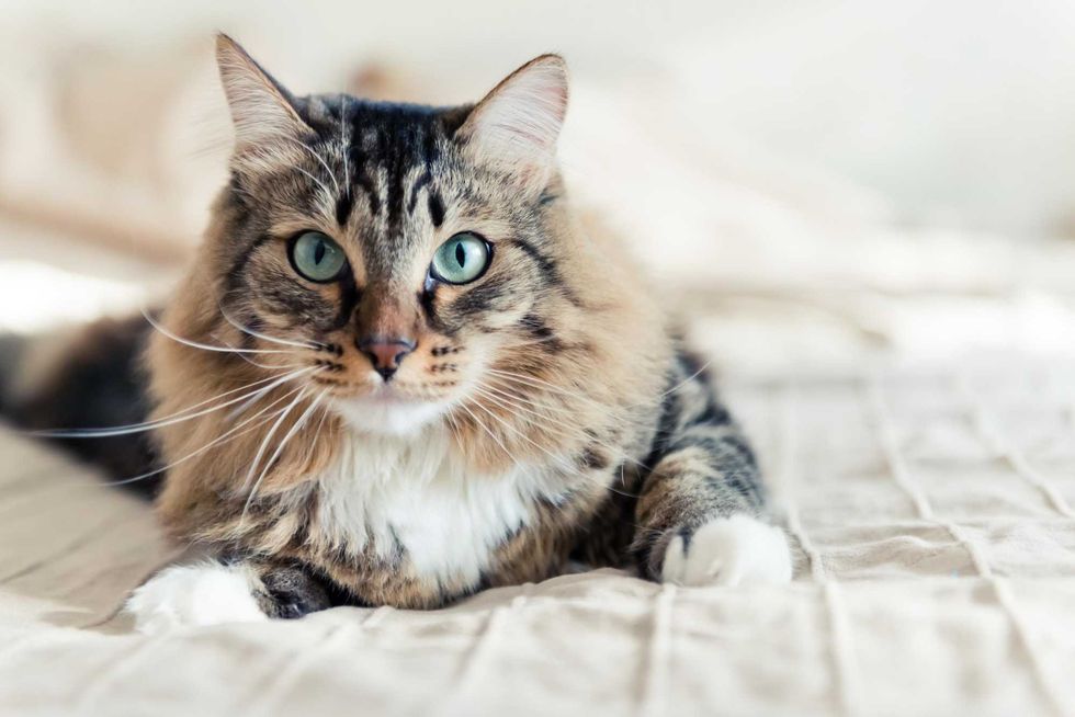 AdobeStock 73964242