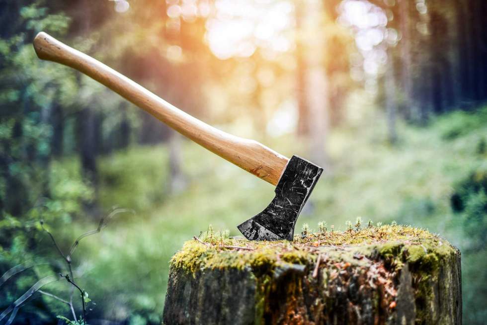 Axe cut in the chopping block, forest green background. Lumber jacks wood cutting work tool.