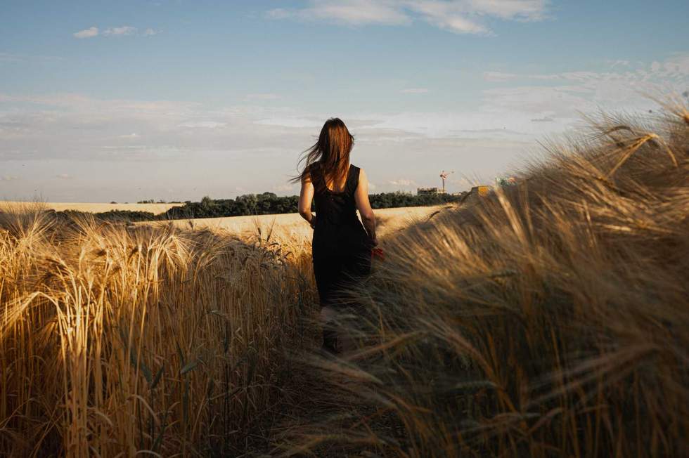 Back view of a young woman in a black dress walking through a golden barley field at sunset. Serene nature lifestyle, freedom, and peaceful countryside mood