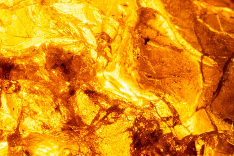 Background, texture bright orange stone amber, tin. Macro photo of the stone.