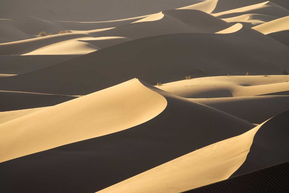 Background with beautiful structures of sandy dunes at sunrise in the Sahara desert