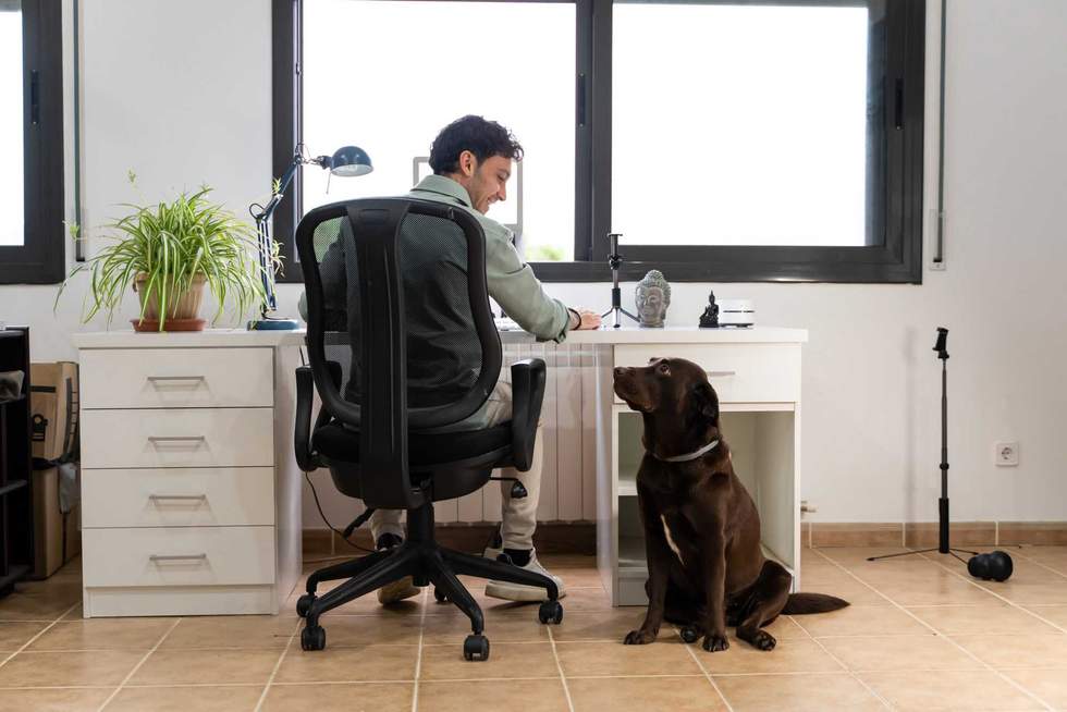 carles - stock.adobe.com - illustrative purposes only, not the actual person or dog