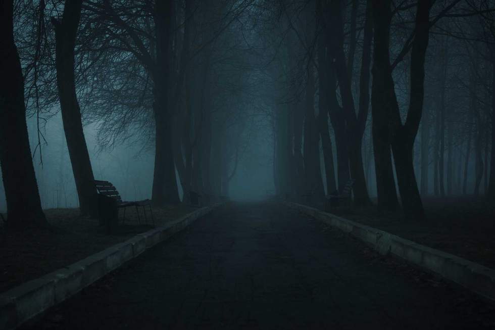 Foggy autumn landscape, pedestrian road in the park. Mystical early morning