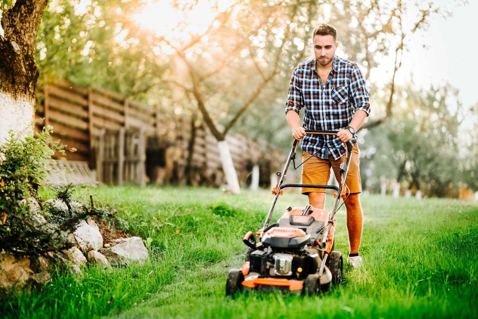Garden and grass maintainance details - close up view of grass mower and worker