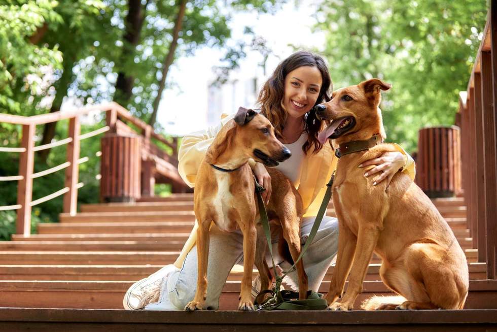 Georgii - stock.adobe.com - illustrative purposes only, not the actual person or dogs