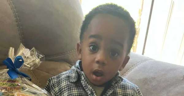 GoFundMe - pictured above is Kohen