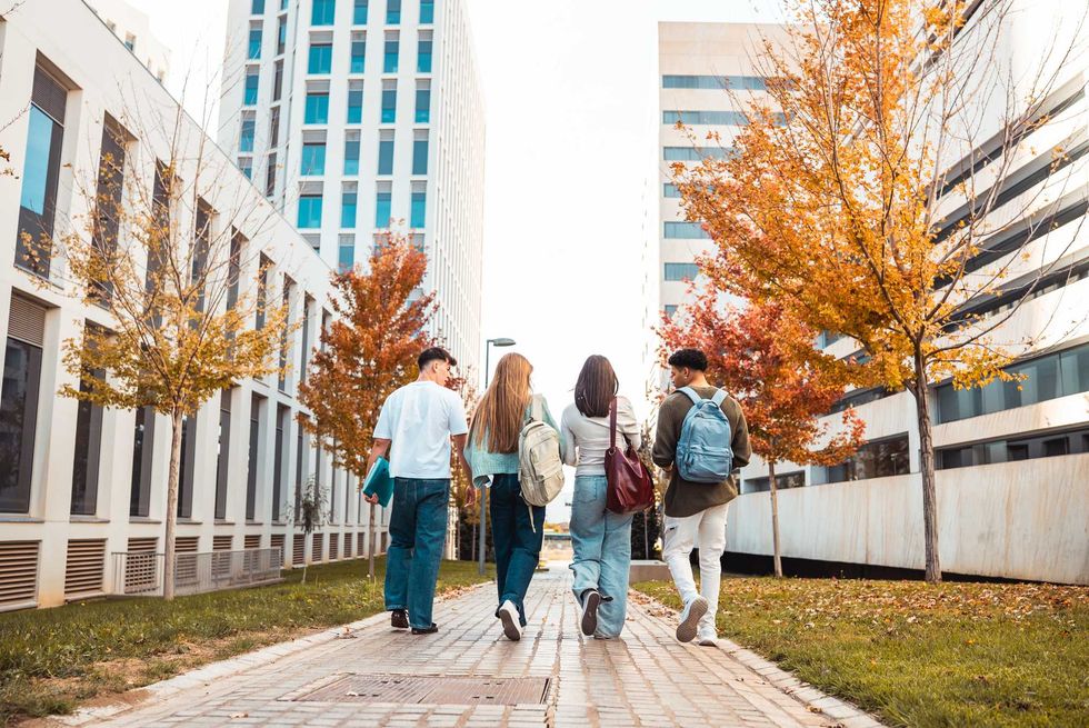 Group of young college friends walking away on a paved path between modern university buildings in autumn. Education and friendship concept