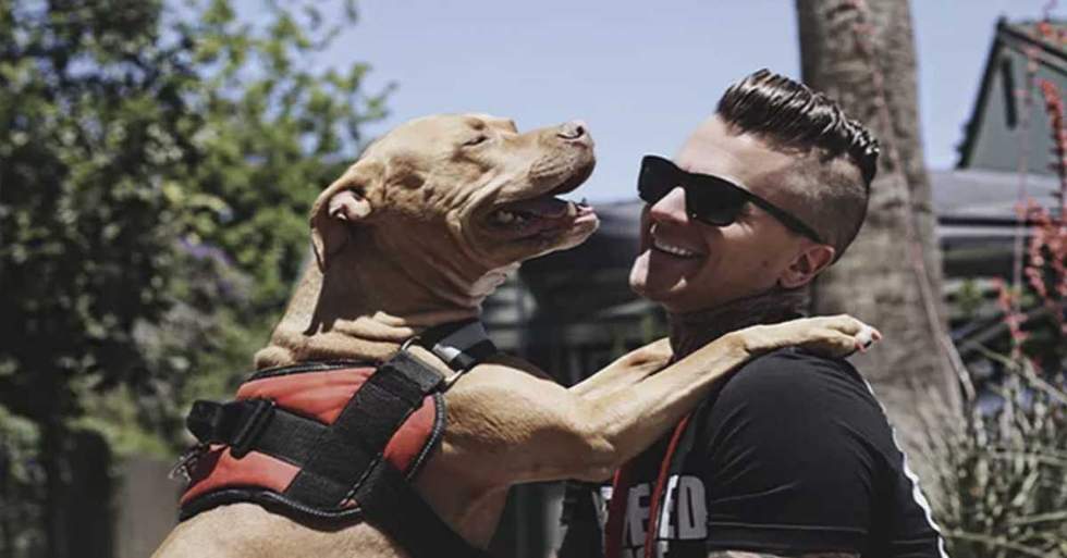 This Service Dog Inspired Her Owner To Become A Certified Dog Trainer And Now Her Owner Is Fighting To Help Her Beat 4 Types Of Cancer