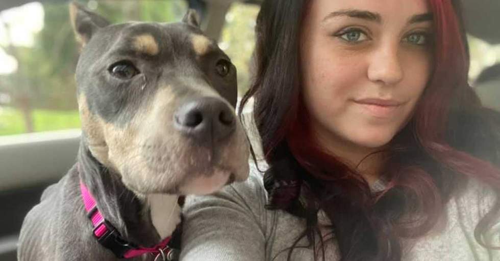 This Poor Dog With A Broken Leg Was Locked In An Attic To Starve But Thankfully A Young Woman Found Her