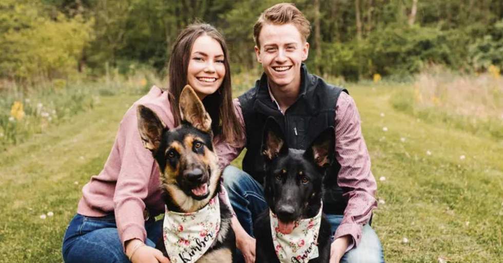 This Dog Was Born With Three Congenital Heart Diseases But Now Things Are Getting Worse And Her Family Is Trying To Buy More Time With Her With A Life-Saving Surgery