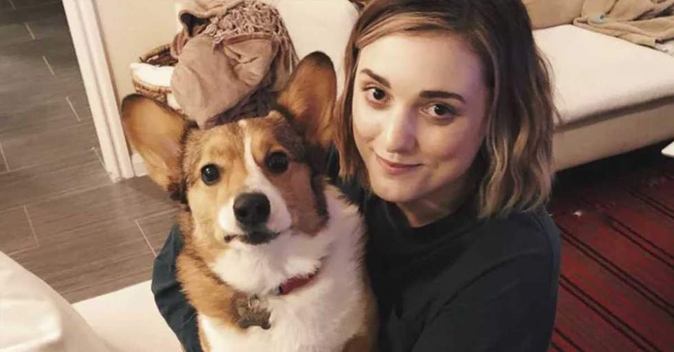 This Adorable Corgi Is Suffering From Mysterious Skin Issues