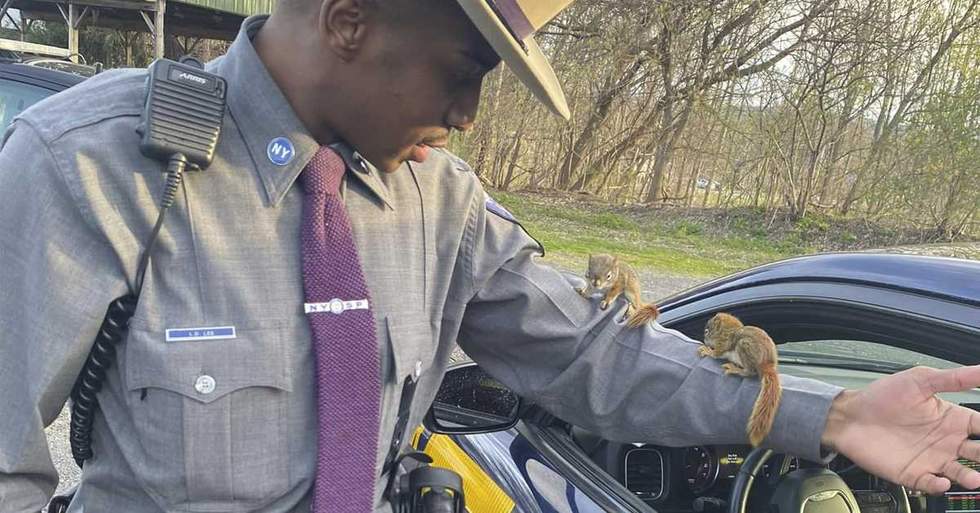 This State Trooper Swooped In To Save Two Small Squirrels In The Middle Of A Dangerous Road