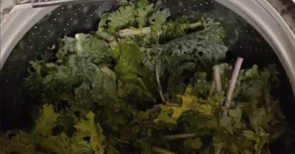 She Shared A Video Washing Her Kale In A Washing Machine And TikTok Has Questions