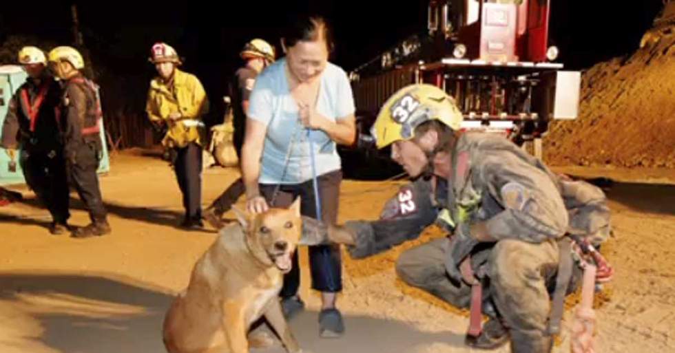 California Firefighters Come To The Rescue After A 13-Year-Old Blind Pup Fell Into A 15-Foot Deep Hole