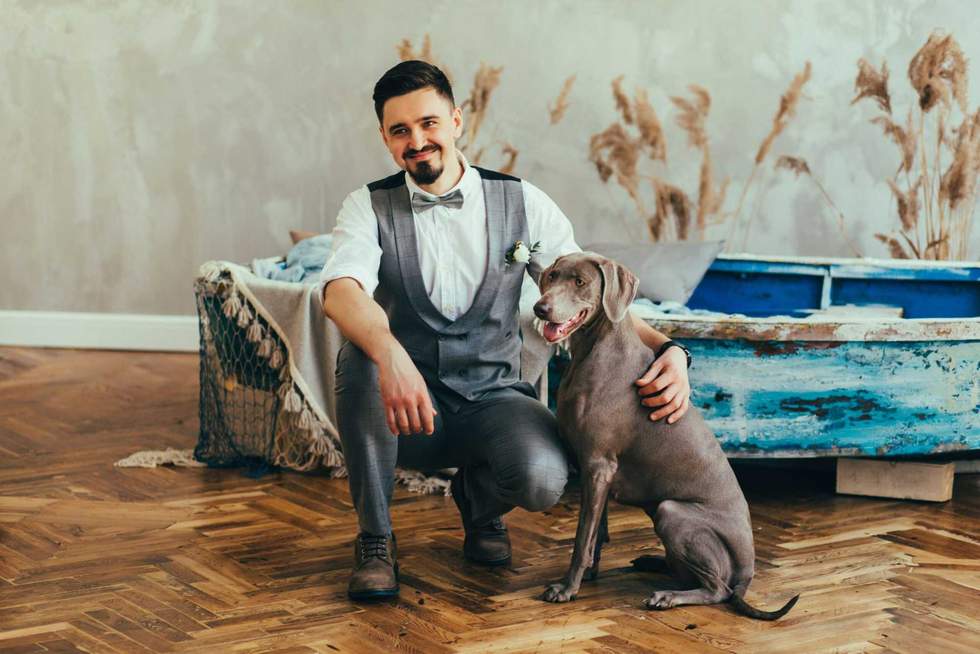 jozzeppe777 - stock.adobe.com - illustrative purposes only, not the actual person or dog
