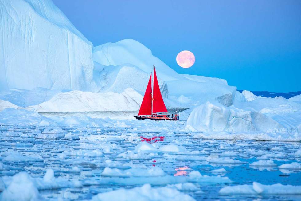 Fossils Suggest That Greenland Used To Be Ice-Free Less Than One Million Years Ago
