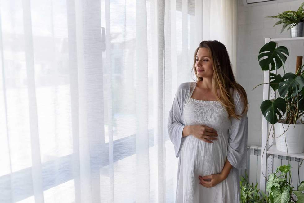 Portrait of a beautiful smiling pregnant woman looking through the window
