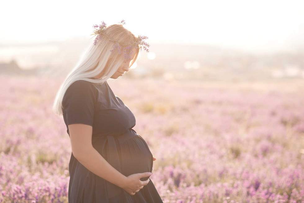 Pregnant woman posing in meadow. Motherhood.