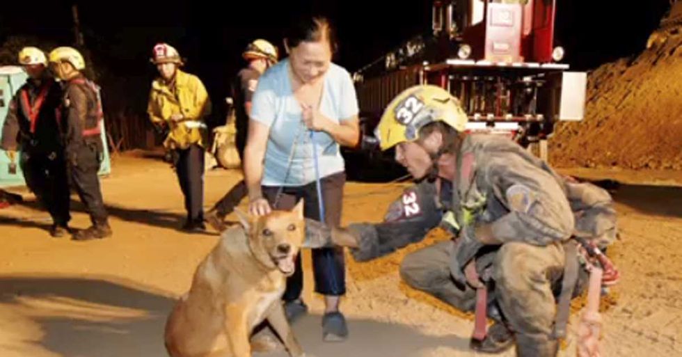 rescue