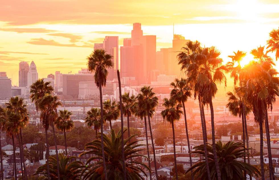 Sunset through the palm trees, Los Angeles, California.