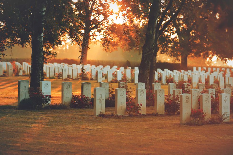 well preserved and orderly arranged tombstones of a war cemetary illuminated by peaceful morning sun shining through big trees - colorful dreamy light mood