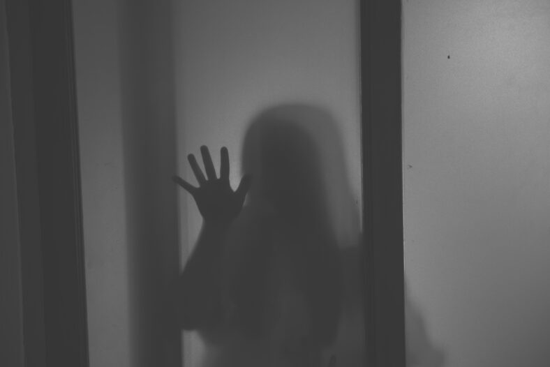The silhouette of a human in front of a door at night.Scary scene Halloween concept of blurred silhouette,Ghost movies poster