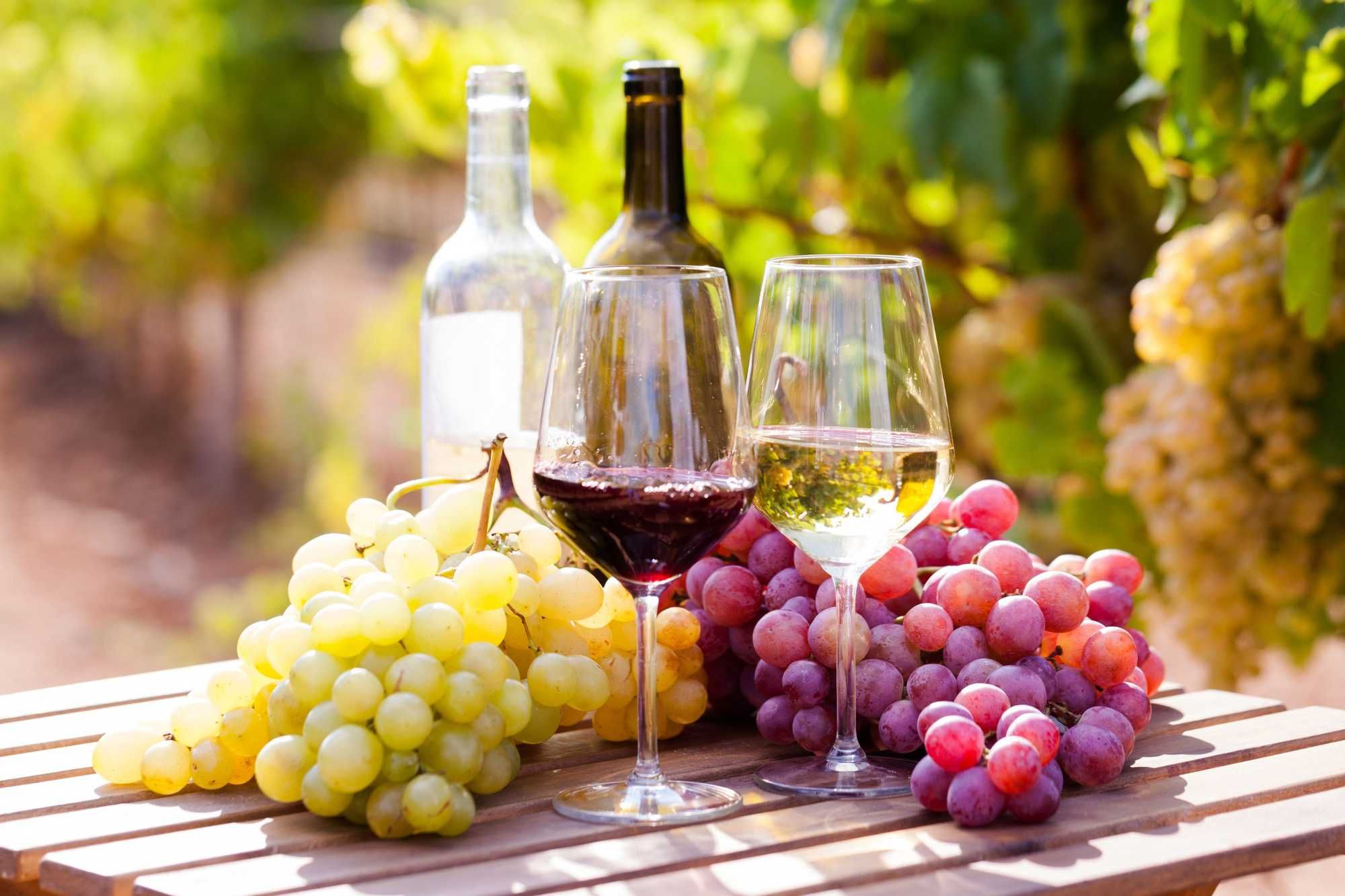 A New Study Suggests That Ancient Roman Wine Was Actually A Bit Spicy And Smelled Of Roasted Walnuts And Toasted Bread - Vimarsana News