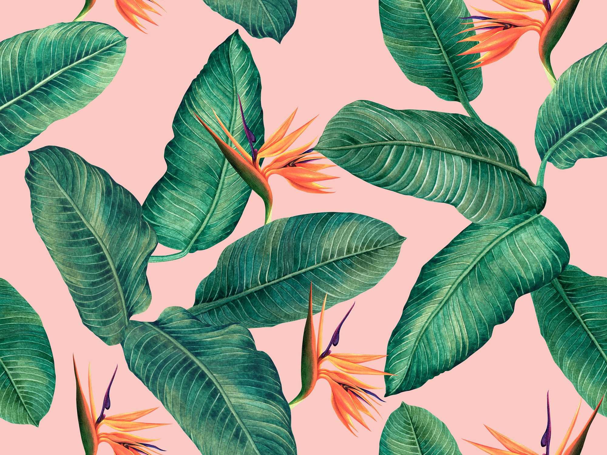 During The Eighteenth Century, She Created A Successful Plant Reference Book That Made Her Enough Money To Get Her Husband Out Of Jail And Pay Off Her Family's Debts – Chip Chick - Vimarsana News