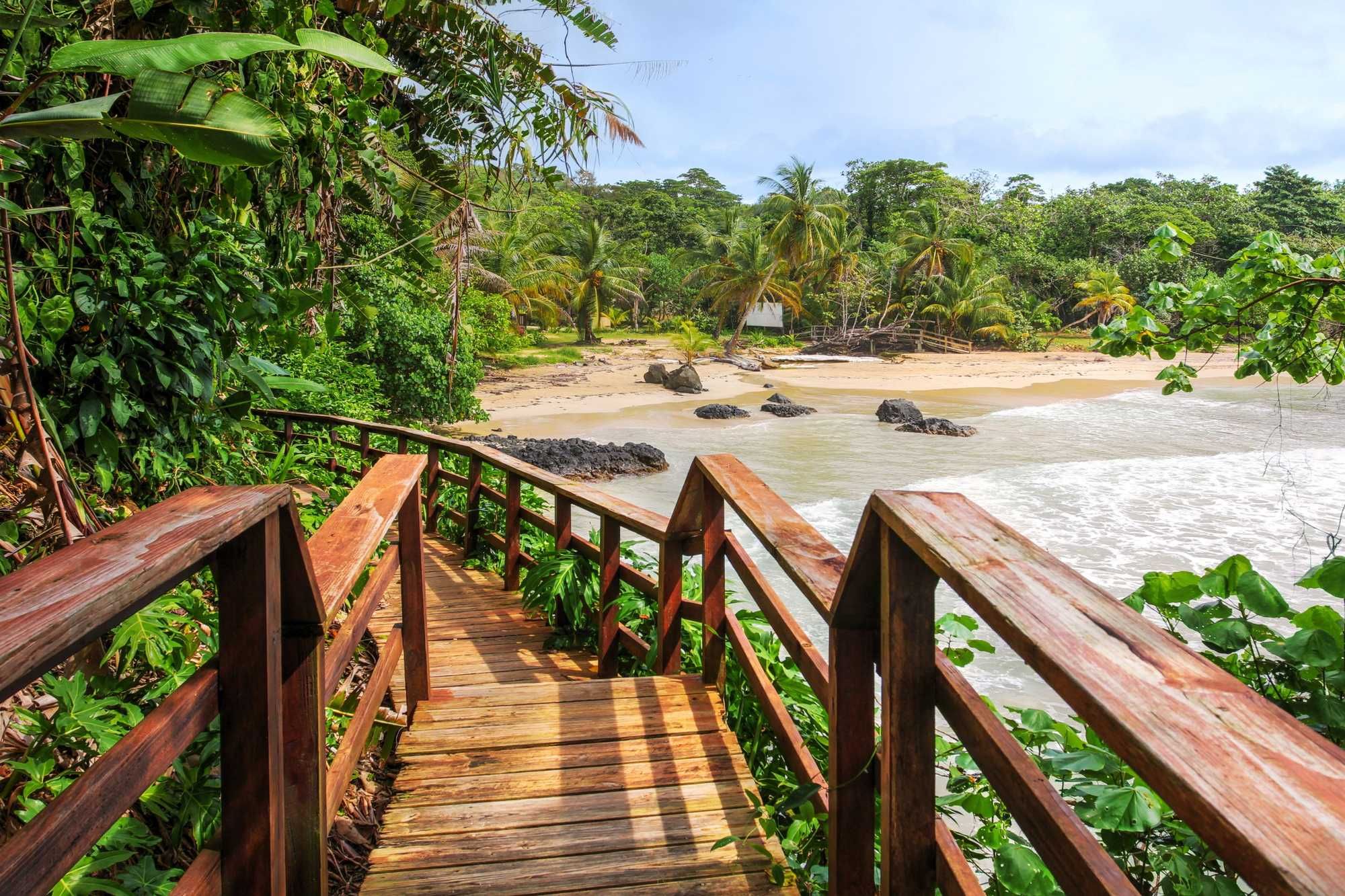 When Archaeologists Unearthed A 1,200-Year-Old Tomb Of An Ancient Chief In Panama, They Also Found Numerous Gold Treasures And The Remains Of Dozens Of Other Individuals Who Were Sacrificed To Accompany The Chief On His Journey To The Afterlife - Vimarsana News