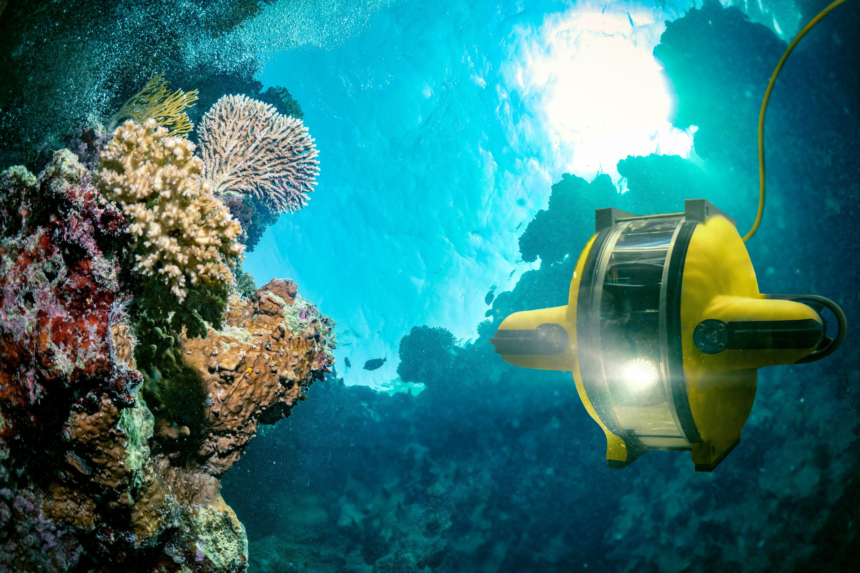 Una reciente expedición a aguas profundas en América del Sur condujo al descubrimiento de más de 100 nuevas especies marinas y montañas submarinas previamente desconocidas.